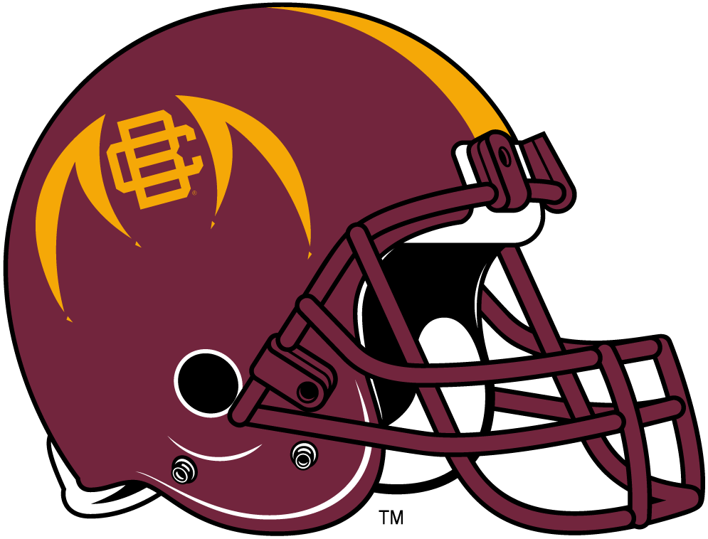 Bethune-Cookman Wildcats 2010-2015 Helmet Logo v2 iron on transfers for T-shirts